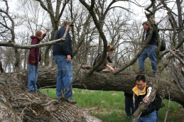 The Meet-Up Group