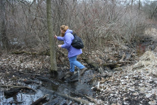 Water Crossing